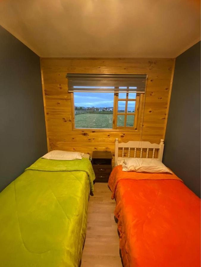 Del Llano * Puyehue